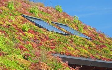 Lidlington living roof systems